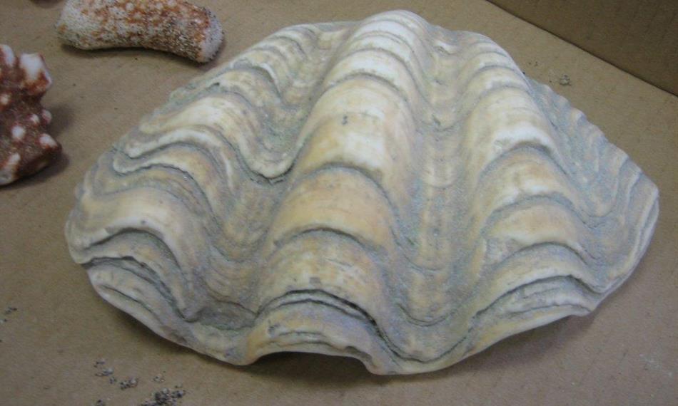 2014-3-5-124foto lastura zévy.jpg